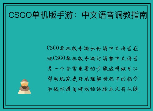 CSGO单机版手游：中文语音调教指南