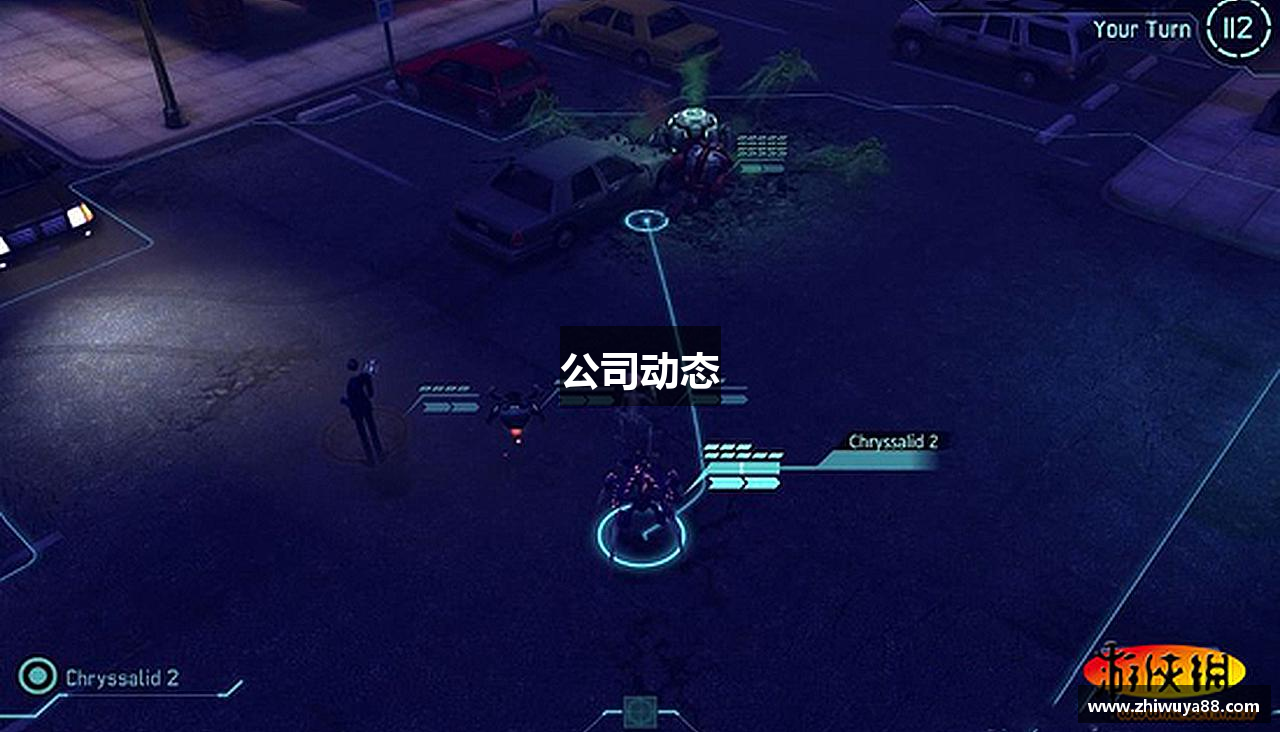 公司动态