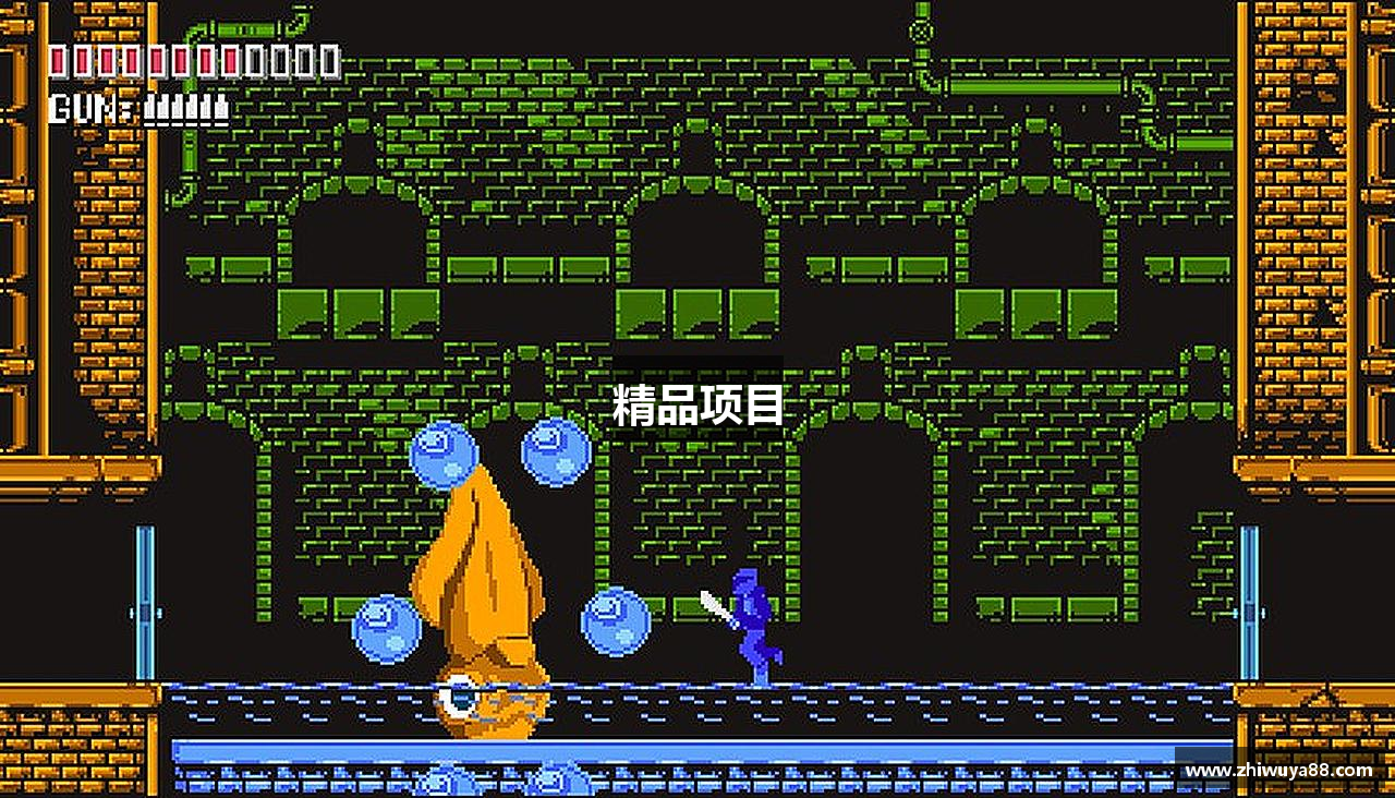 精品项目